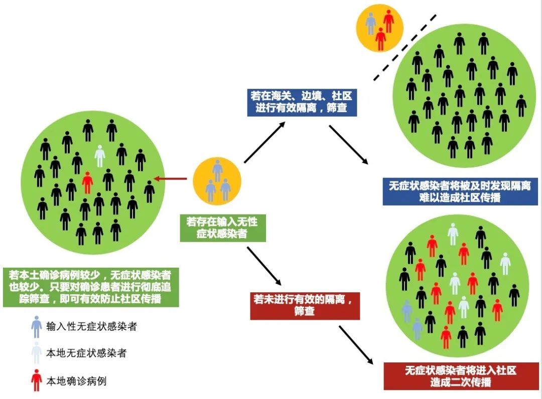 最新疫情根源深度探究